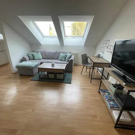 Schoene Wohnung Mit Parkplatz Im Zentrum Von Linz Exterior foto