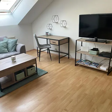 Schoene Wohnung Mit Parkplatz Im Zentrum Von Linz Exterior foto