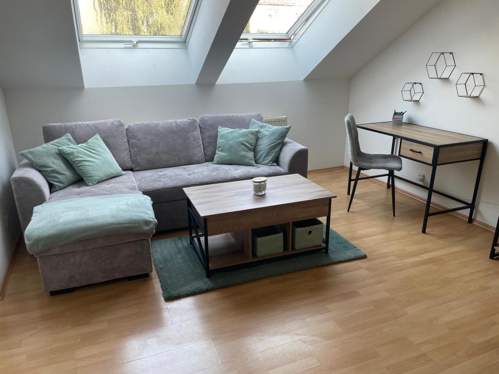 Apartment Schoene Mit Parkplatz Im Zentrum Von Linz